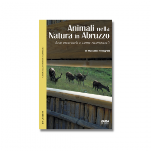 ANIMALI NELLA NATURA IN ABRUZZO - Dove osservarli e come riconoscerli